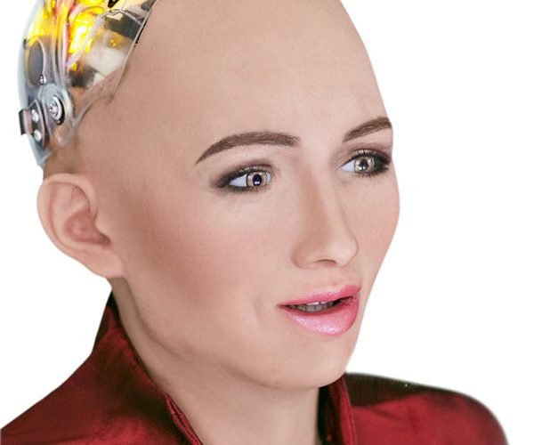 Sophia the Robot, Hanson Robotics Limited