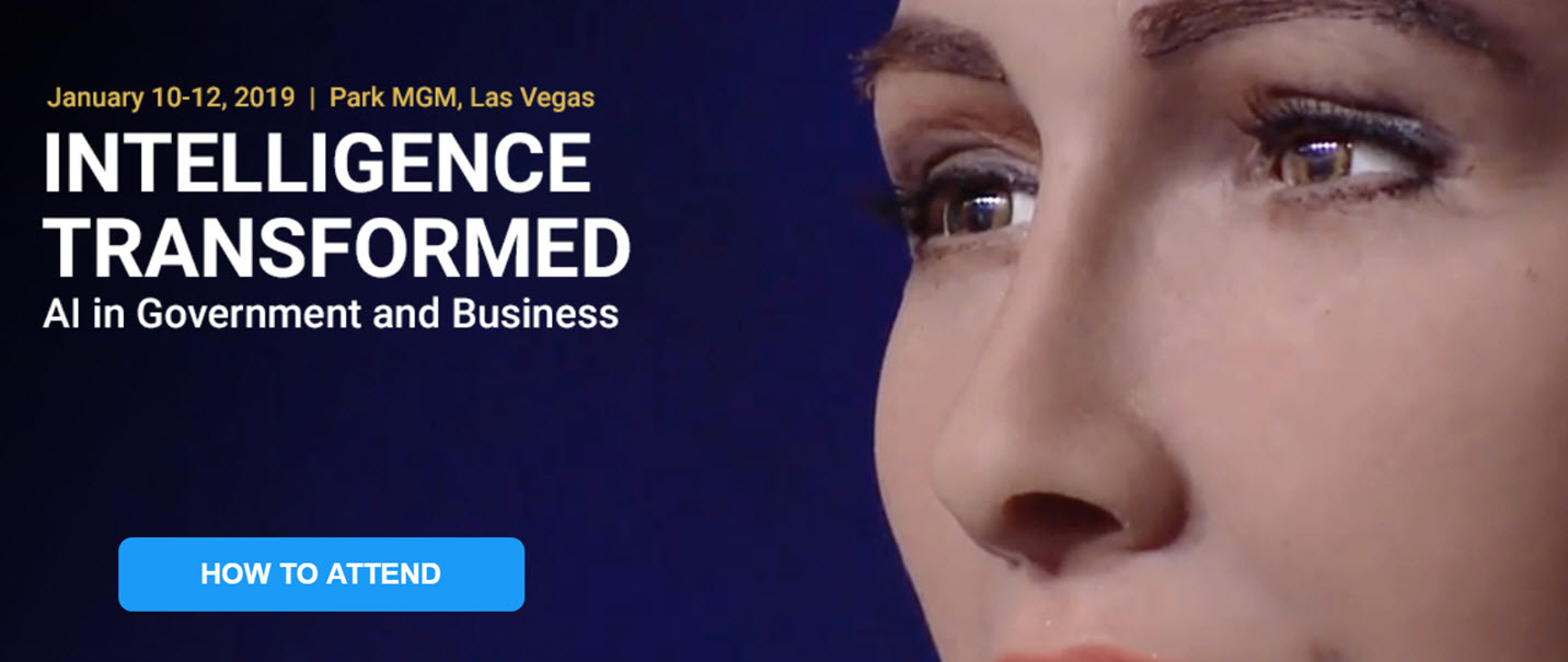 CES Government 2019 Sophia the Robot