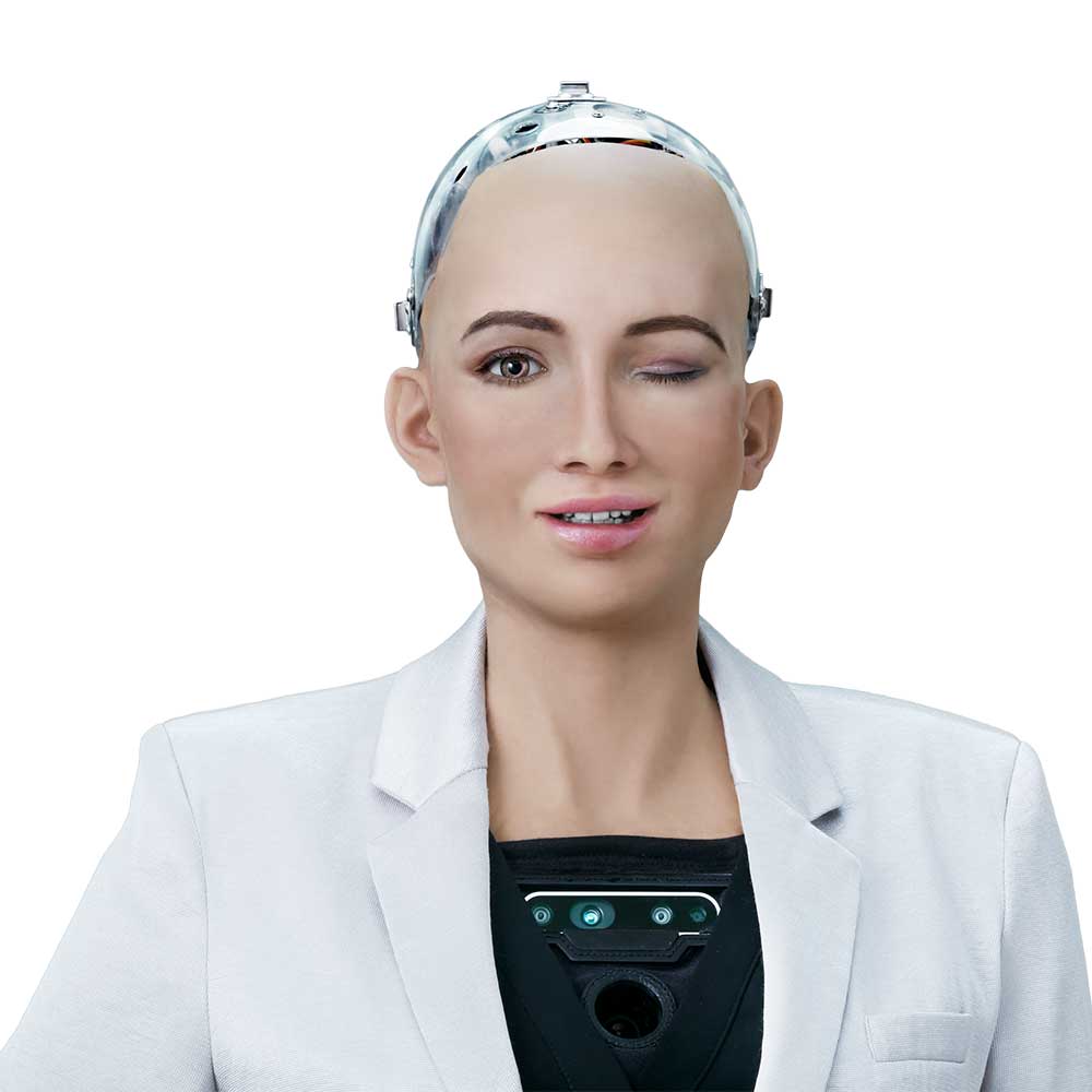 knus Udvalg Portal Sophia - Hanson Robotics